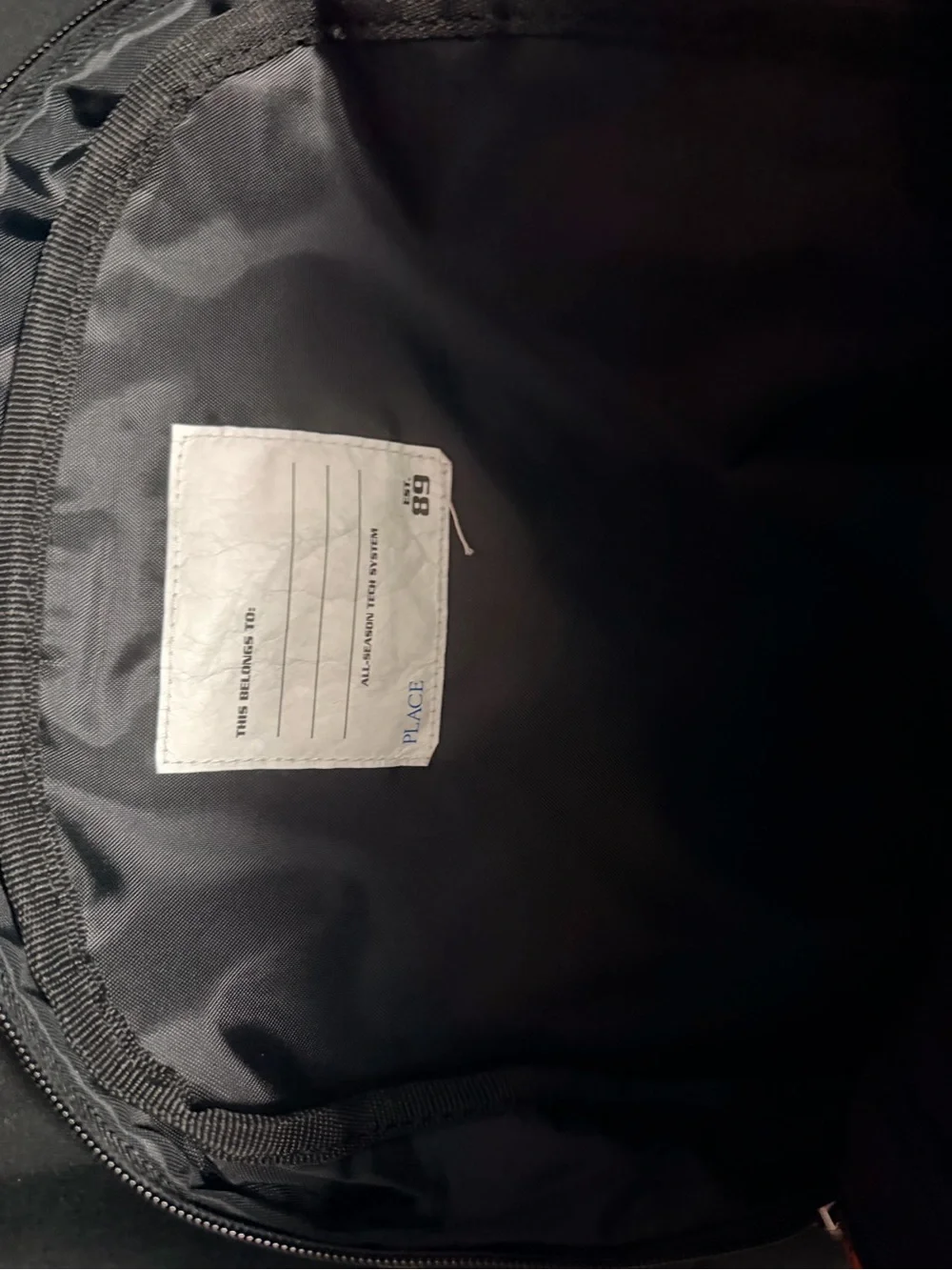 The Children placed Boys Multicolor Backpacks for kids